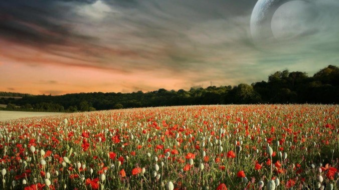 剪映为什么显卡会跑满？